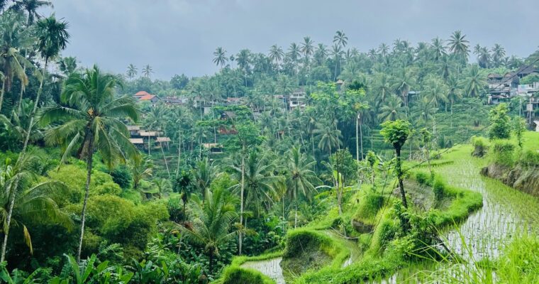 Fascinating Facts about Bali