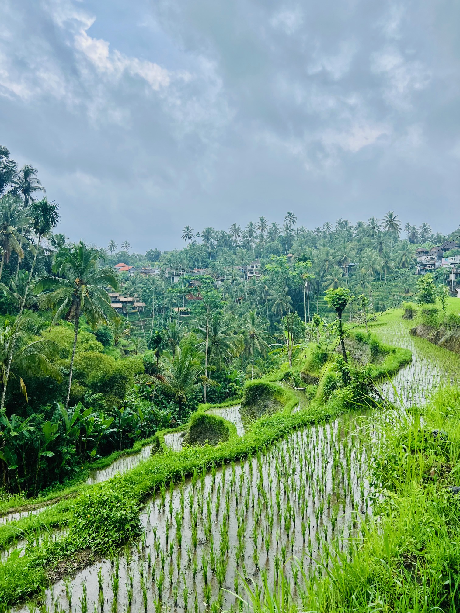 Fascinating Facts about Bali