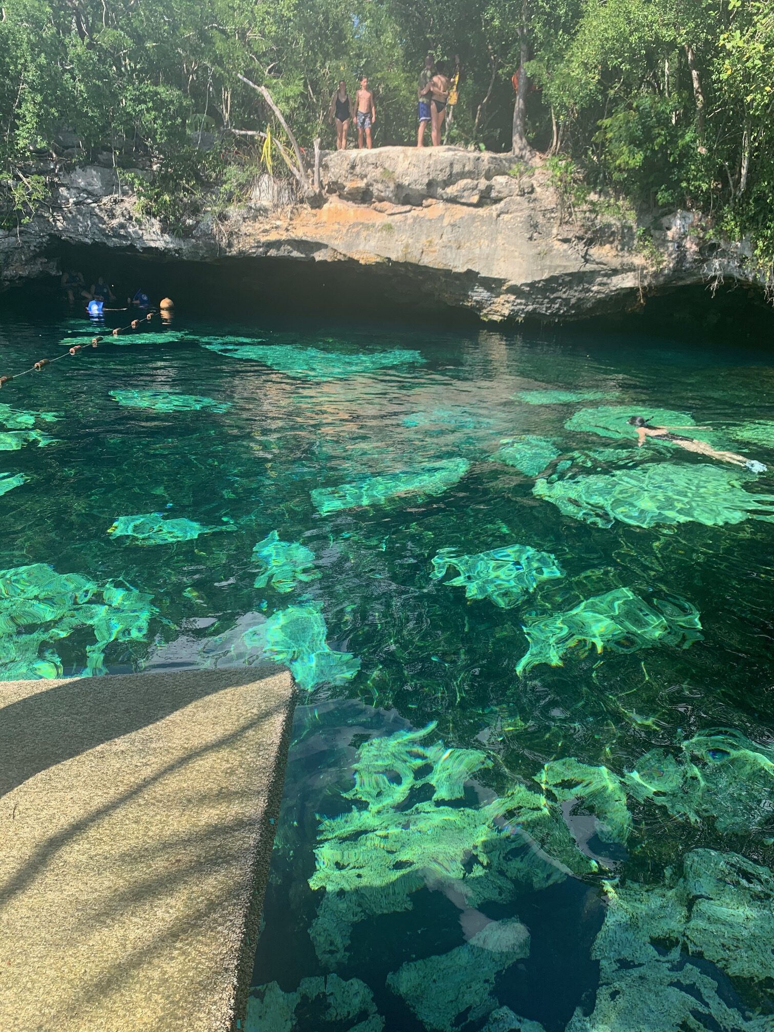 TOP 5 Cenotes to explore with kids in the Playa Del Carmen  (Mexico) Area